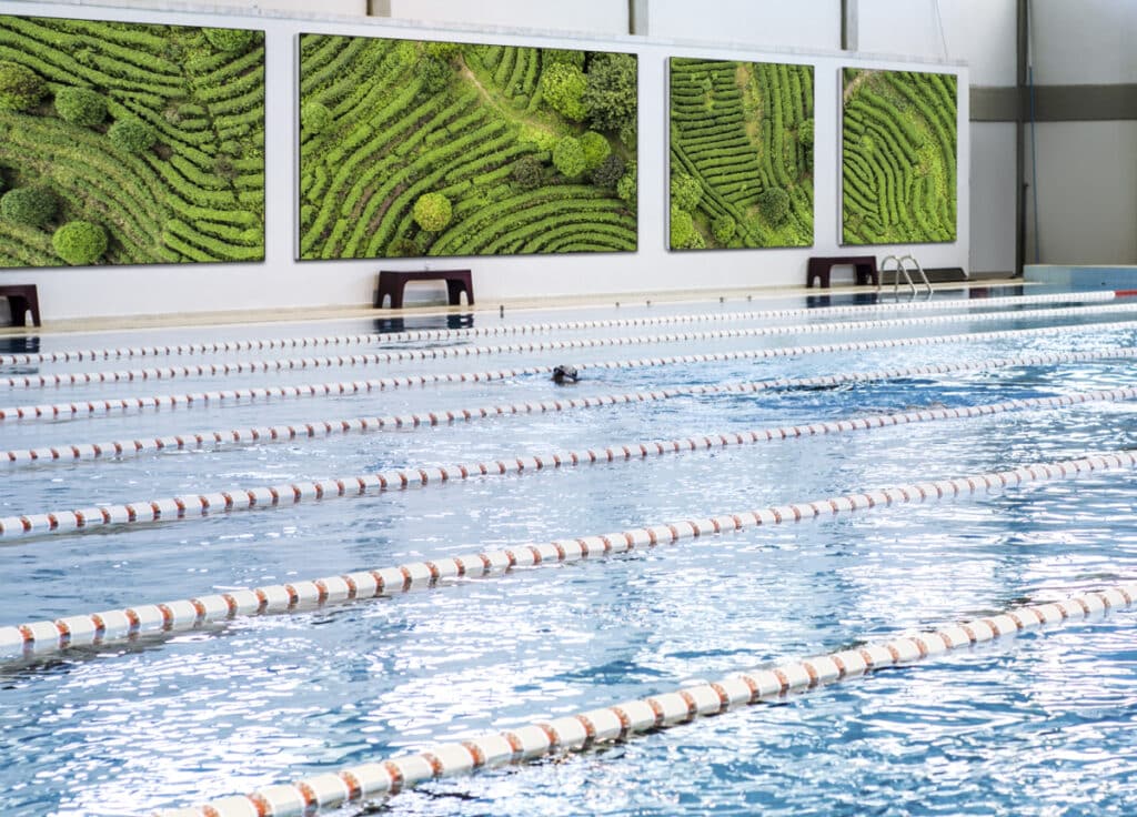 Zwembad aangekleed met akoestische dempende schilderijen